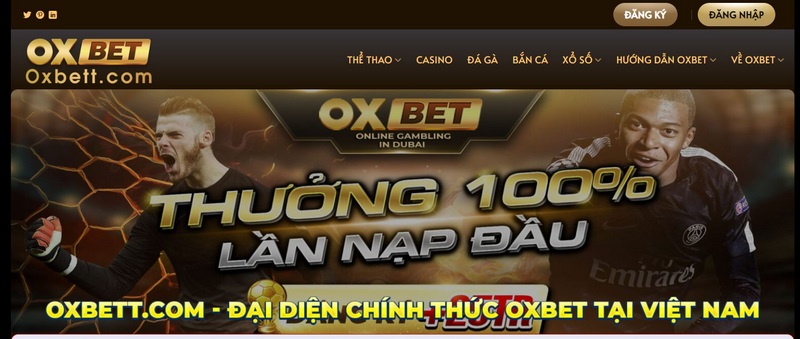 Casino Oxbet là gì?